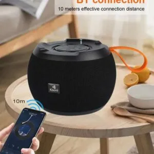 Portable Loudspeaker – Model C15