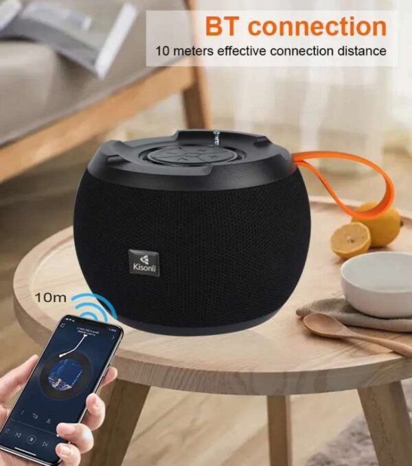 Portable Loudspeaker – Model C15